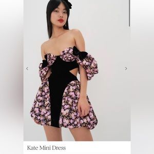 NWT For the love and lemons Kate mini dress